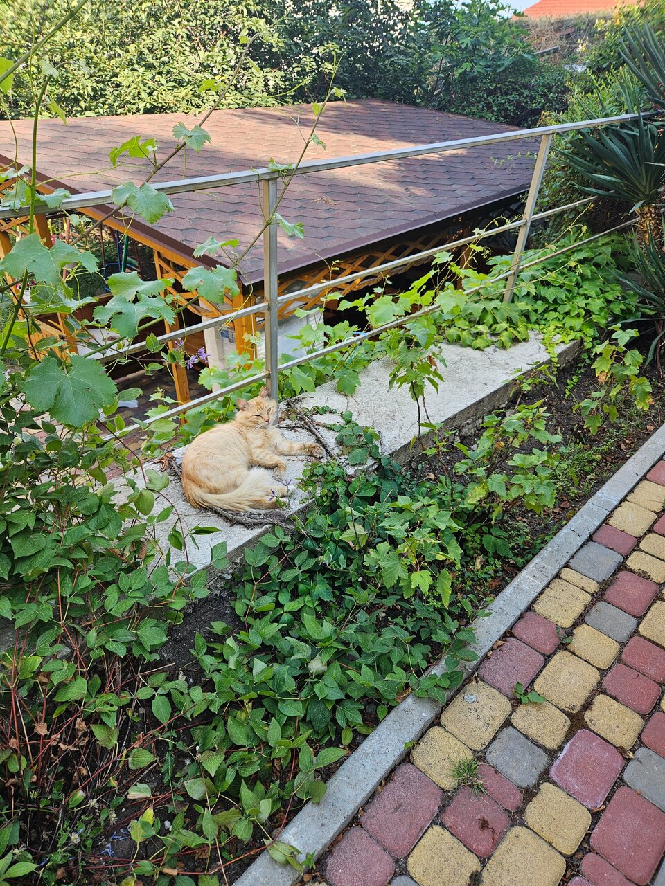 Гостиница Лукоморье Алушта-36