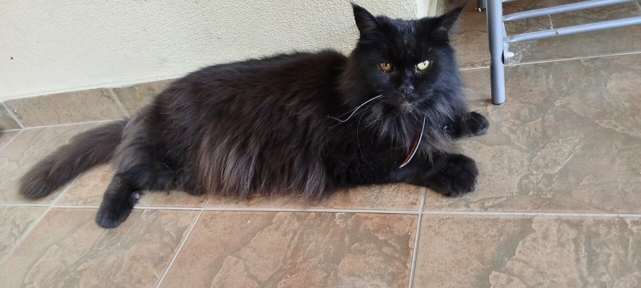 Гостиница Лукоморье Алушта-61