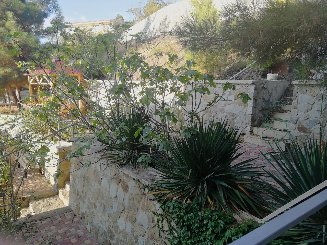 Гостиница Лукоморье Алушта-80