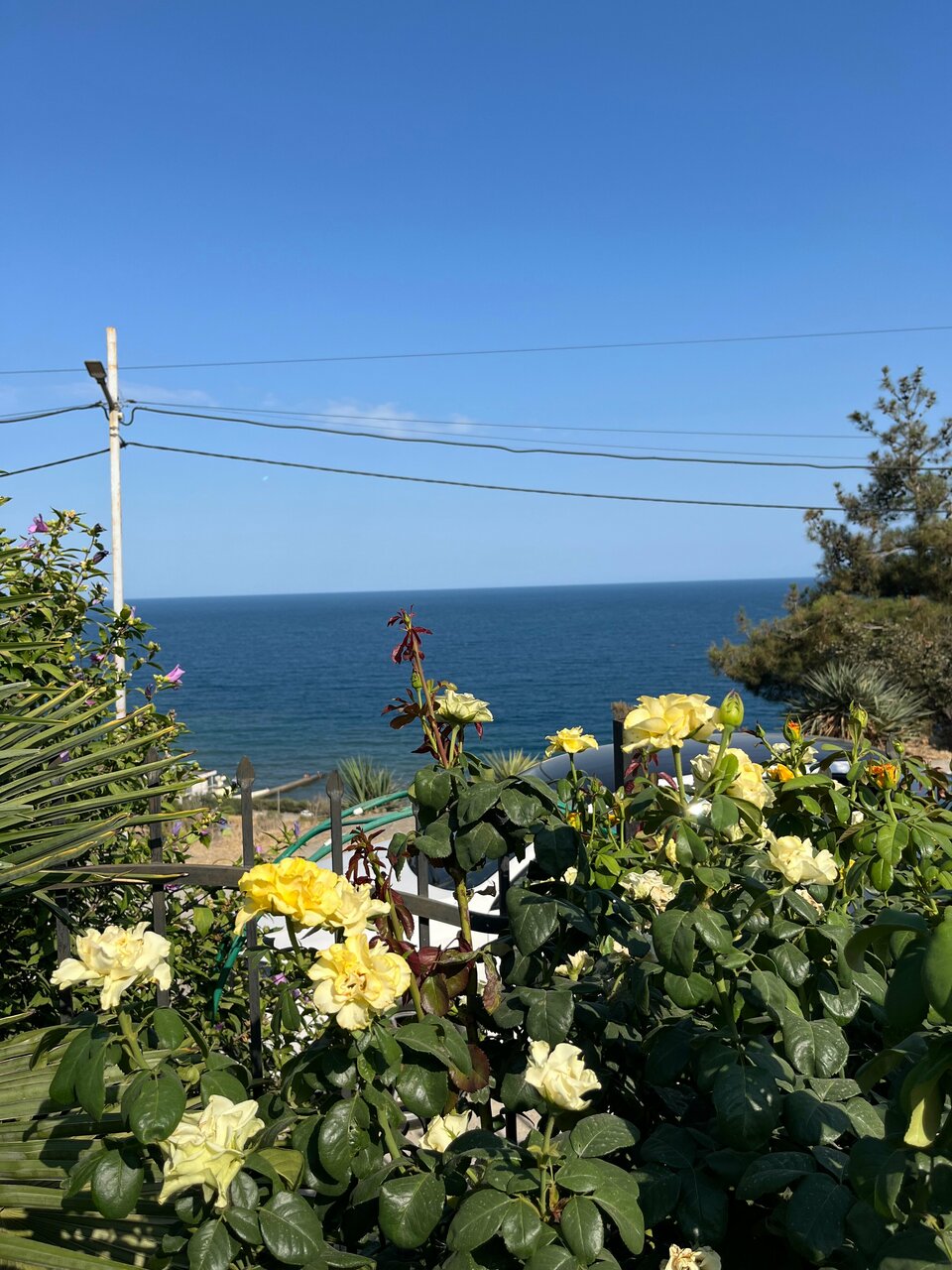 Гостиница Лукоморье Алушта-49