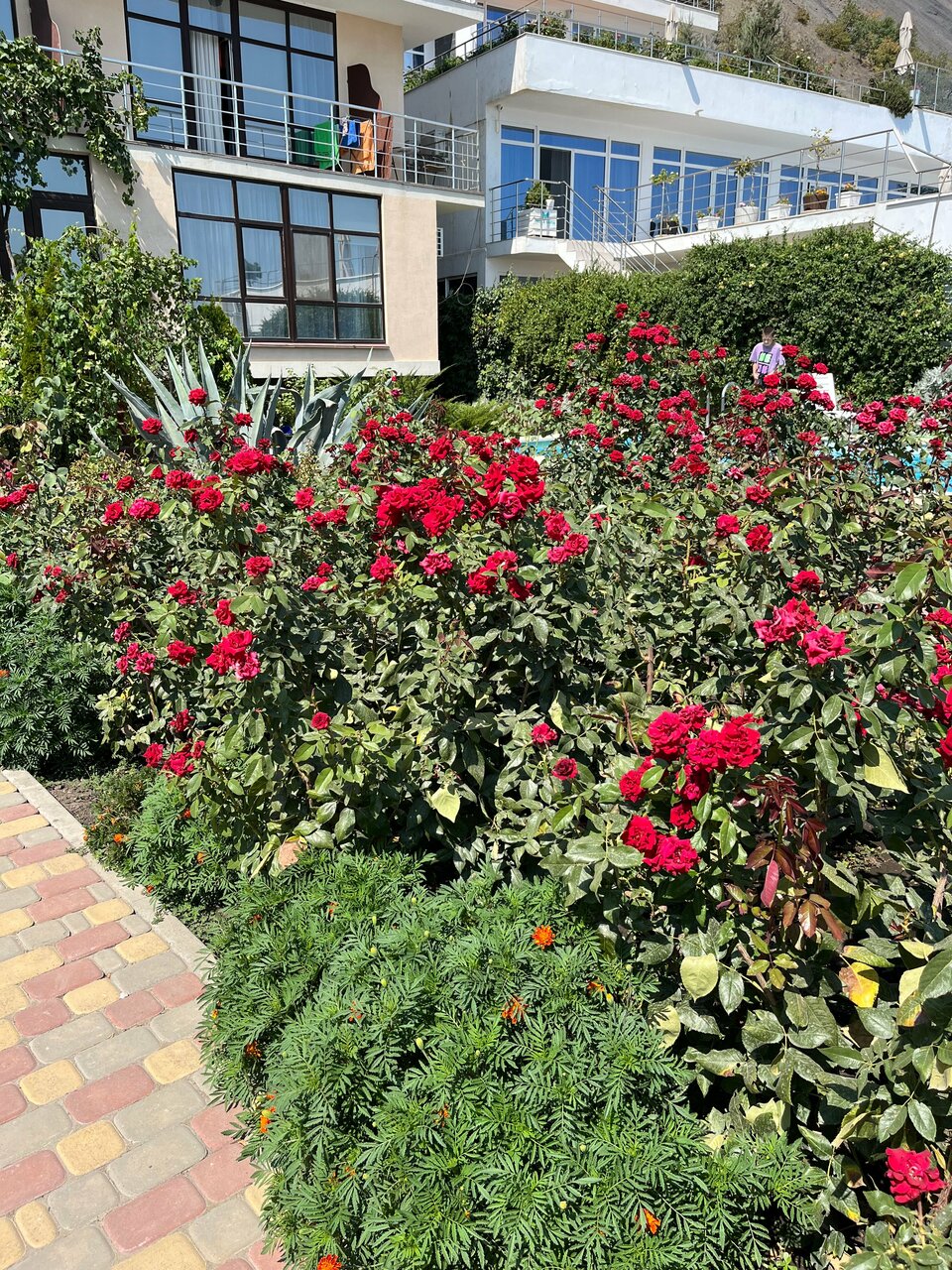 Гостиница Лукоморье Алушта-12