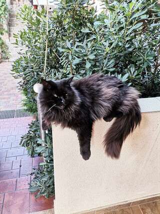 Гостиница Лукоморье Алушта-5