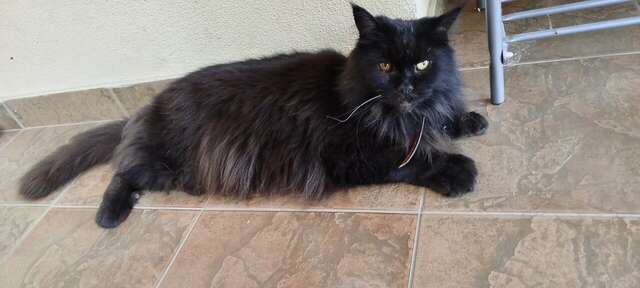 Гостиница Лукоморье Алушта-60