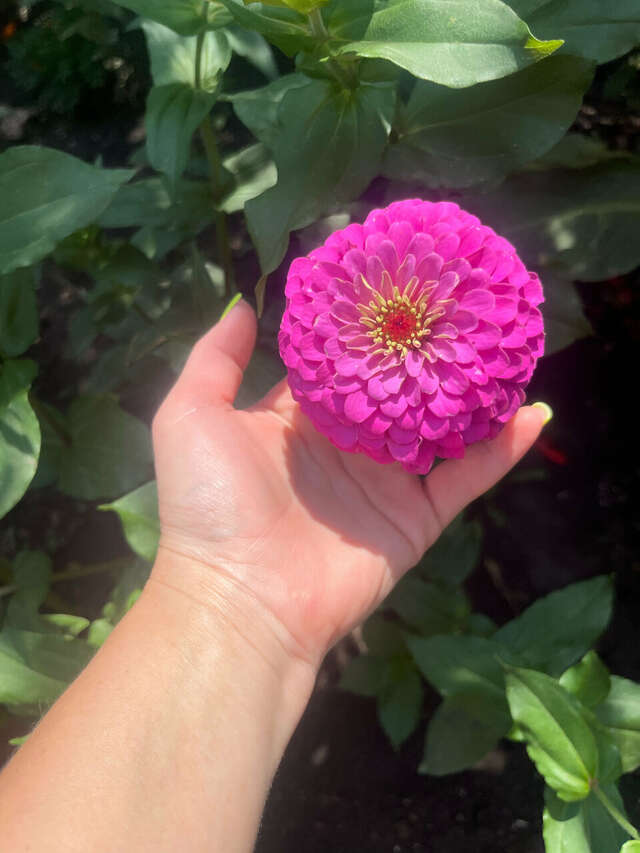 Гостиница Лукоморье Алушта-37