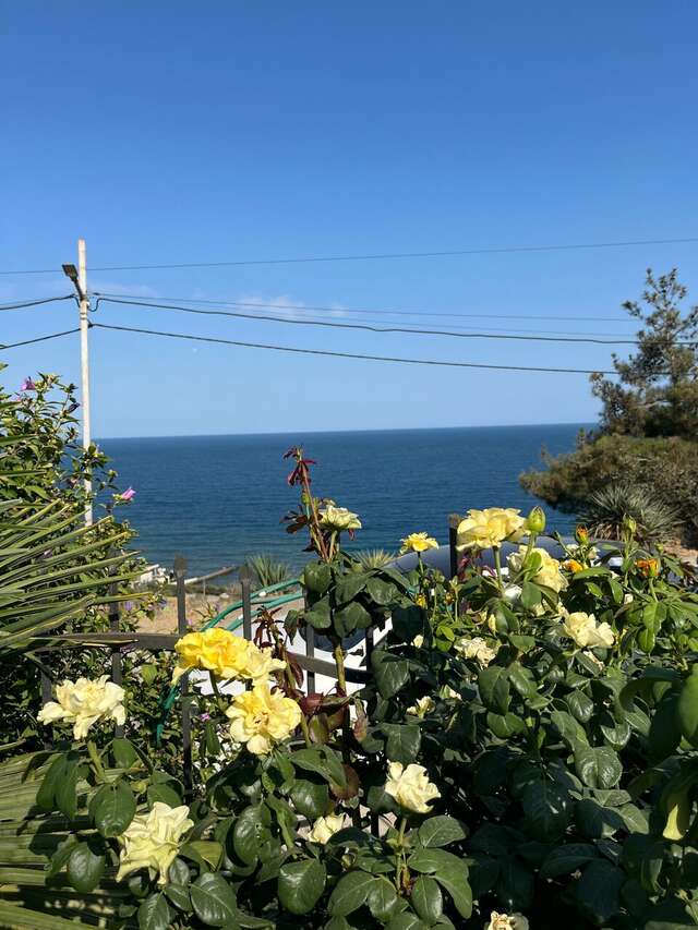 Гостиница Лукоморье Алушта-48