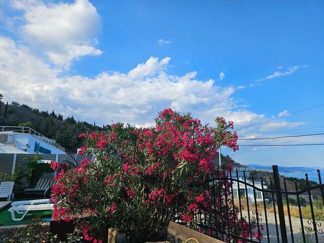 Гостиница Лукоморье Алушта-28