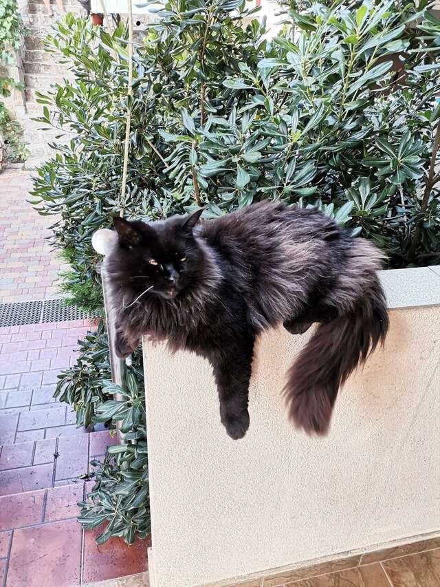 Гостиница Лукоморье Алушта-8